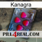 Kanagra 13
